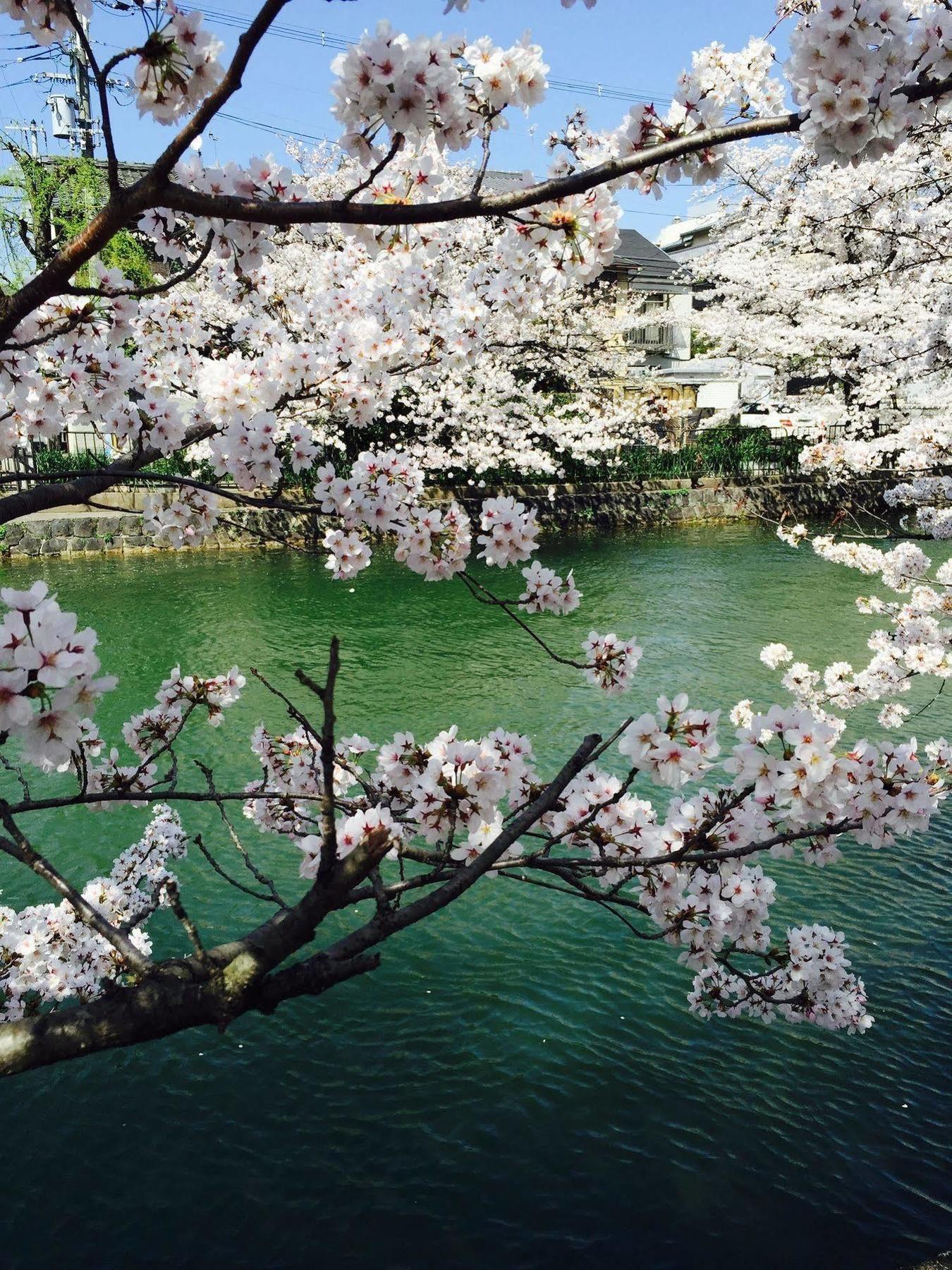 Apartment Heian Sosui